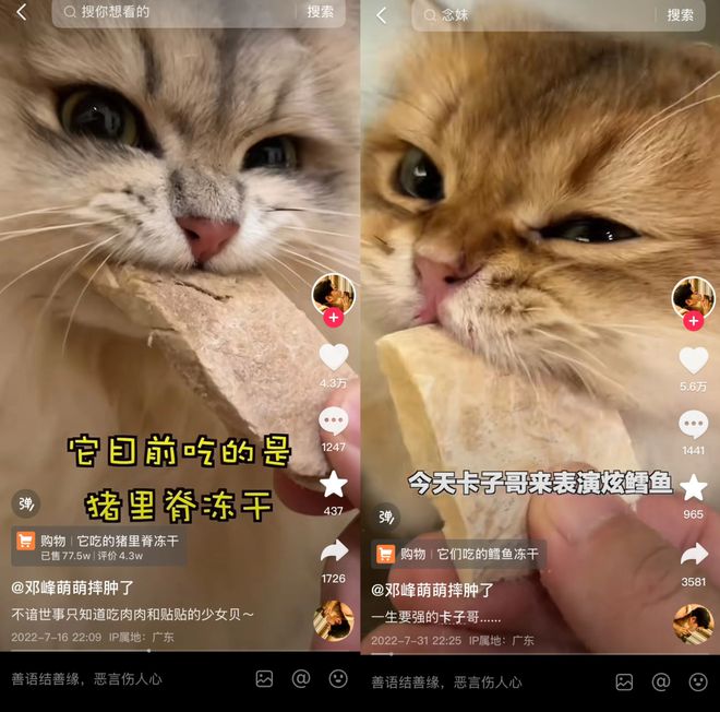 Top3这条千亿赛道杀出一匹黑马pg电子试玩平台年销2亿抖音类目(图7)