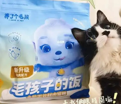 口粮！三只松鼠靠什么重返宠物食品赛道pg电子中文模拟器零食巨