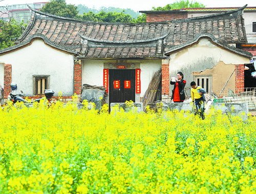 一览美丽乡村 溪林：山美 景美 人美pg电子免费模拟器同安农民导游带您(图2)