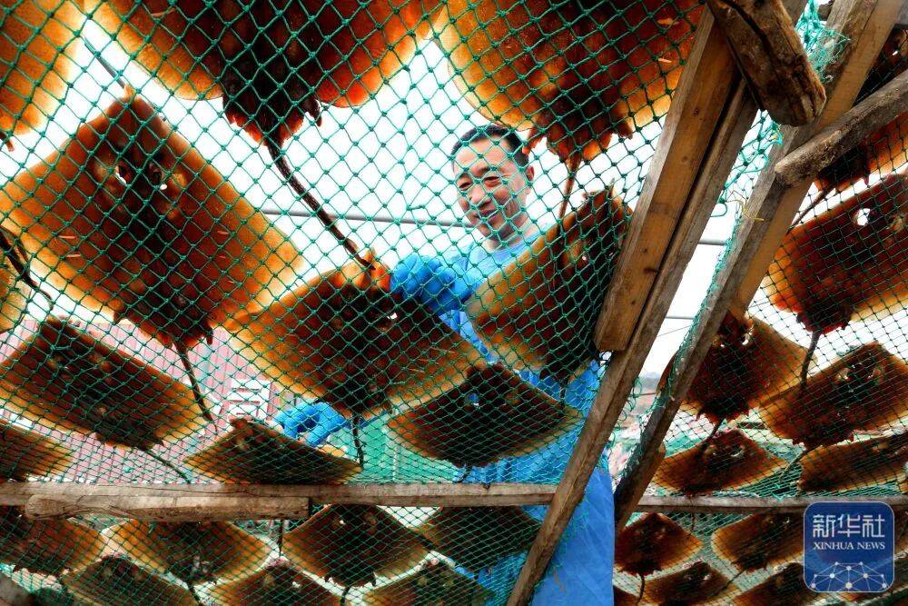 金诺宠物节来了时间就在pg电子试玩第二届亚太(图7) 金诺宠物节来了时间就在pg电子试玩第二届亚太(图7)