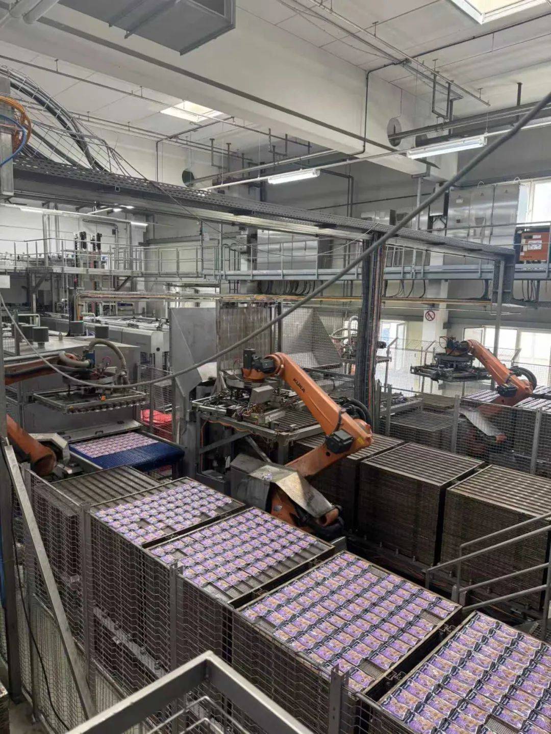 物食品市场百年德企开启中国式新战略pg电子平台用德国品质赋能中国宠(图6)