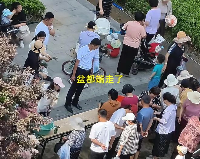 粽子大妈连盆都端走了还围堵物业要鸡蛋pg电子试玩入口山东：小区端午免费包(图2)