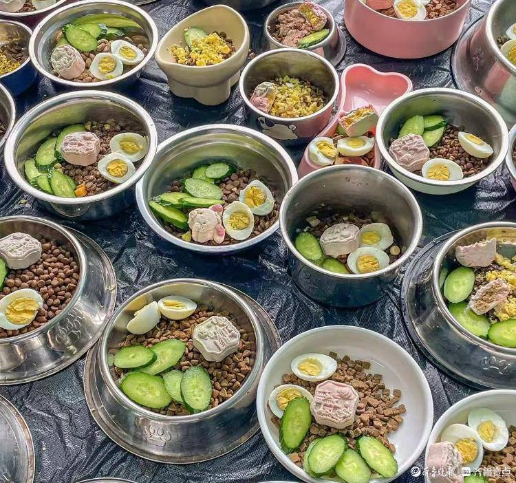 爆满宠物经济赛道“拥挤”暗藏隐忧pg电子试玩网站免费宠物寄养假期(图3) 爆满宠物经济赛道“拥挤”暗藏隐忧pg电子试玩网站免费宠物寄养假期(图3)