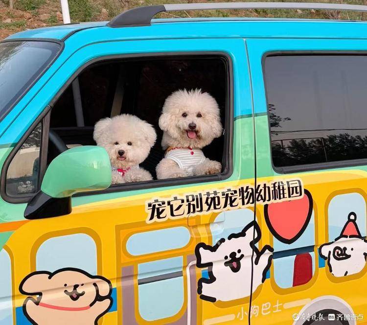 爆满宠物经济赛道“拥挤”暗藏隐忧pg电子试玩网站免费宠物寄养假期(图4) 爆满宠物经济赛道“拥挤”暗藏隐忧pg电子试玩网站免费宠物寄养假期(图4)